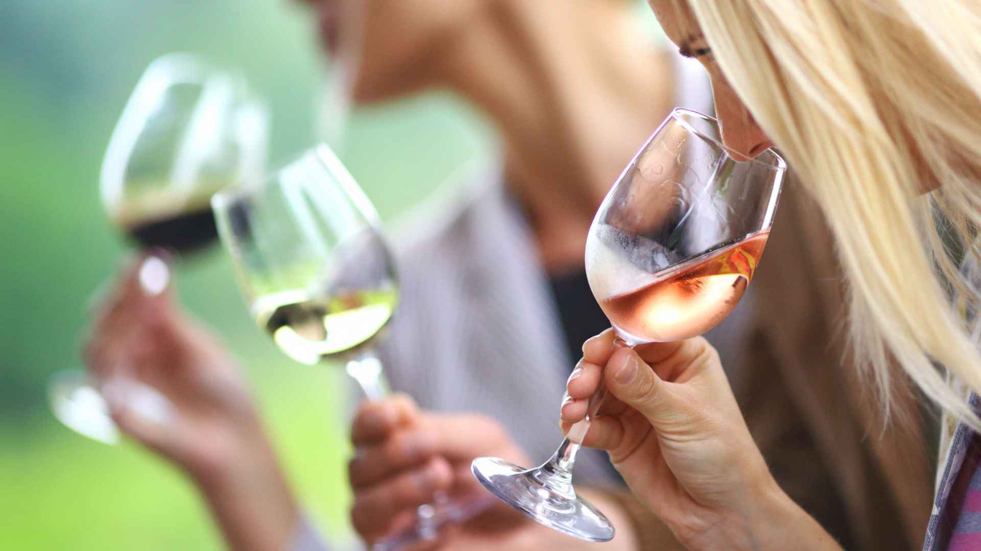 image relative à Atelier oenologie : initiation à la dégustation de vin 